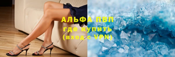 прущие грибы Кулебаки