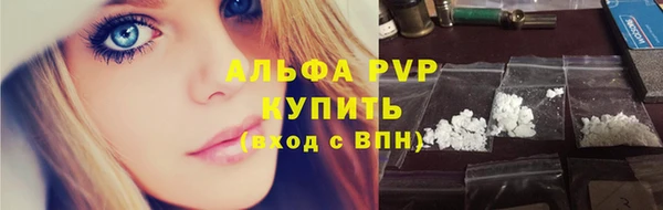 прущие грибы Кулебаки