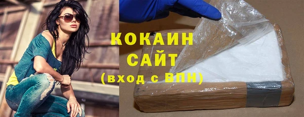 прущие грибы Кулебаки