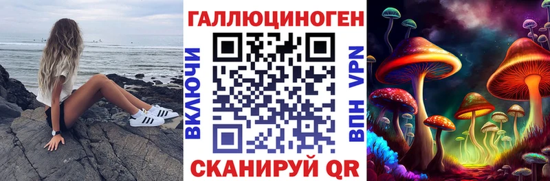 MEGA зеркало купить закладку Мариинский Посад Псилоцибиновые грибы Magic Shrooms